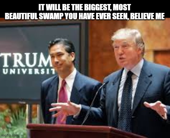 trump university cropped | IT WILL BE THE BIGGEST, MOST BEAUTIFUL SWAMP YOU HAVE EVER SEEN, BELIEVE ME | image tagged in trump university cropped | made w/ Imgflip meme maker