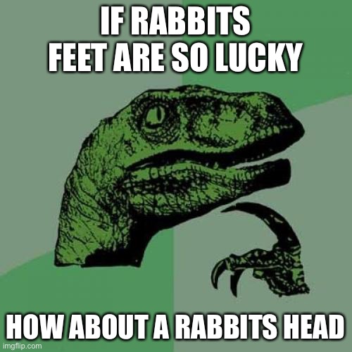 If so I would be very very lucky | IF RABBITS FEET ARE SO LUCKY; HOW ABOUT A RABBITS HEAD | image tagged in memes,philosoraptor | made w/ Imgflip meme maker