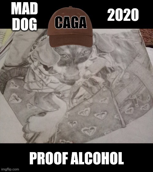 advertising a shitty year/not beer md2020.com | image tagged in mad,dog | made w/ Imgflip meme maker