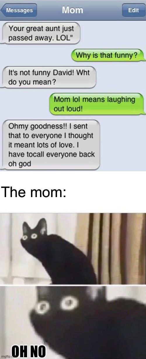Oops | The mom:; OH NO | image tagged in oh no black cat | made w/ Imgflip meme maker