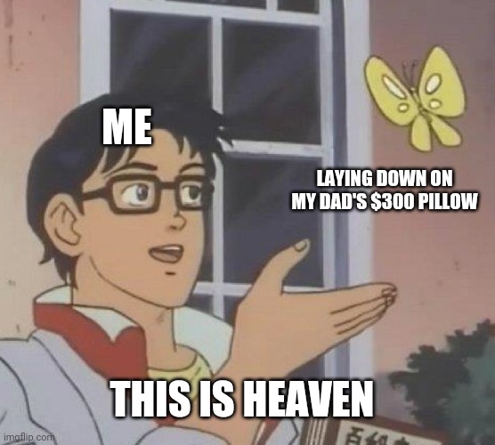 Now I make all my memes from right here | ME; LAYING DOWN ON MY DAD'S $300 PILLOW; THIS IS HEAVEN | image tagged in memes,is this a pigeon | made w/ Imgflip meme maker