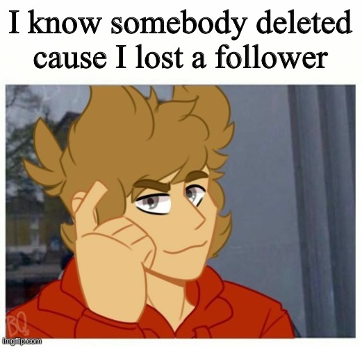tord smart | I know somebody deleted cause I lost a follower | image tagged in tord smart | made w/ Imgflip meme maker