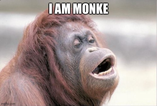 Monkey OOH | I AM MONKE | image tagged in memes,monkey ooh,return to monke | made w/ Imgflip meme maker