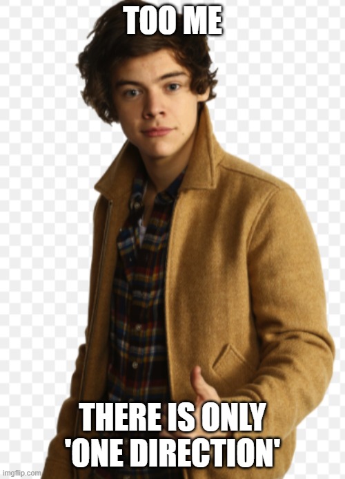 TOO ME THERE IS ONLY 'ONE DIRECTION' | made w/ Imgflip meme maker