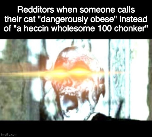 Redditors when someone calls their cat "dangerously obese" instead of "a heccin wholesome 100 chonker" | made w/ Imgflip meme maker