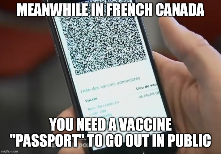 MEANWHILE IN FRENCH CANADA; YOU NEED A VACCINE "PASSPORT" TO GO OUT IN PUBLIC | image tagged in memes | made w/ Imgflip meme maker