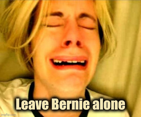 leave alone | Leave Bernie alone | image tagged in leave alone | made w/ Imgflip meme maker