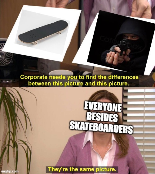 They are the same picture | EVERYONE BESIDES SKATEBOARDERS | image tagged in they are the same picture | made w/ Imgflip meme maker