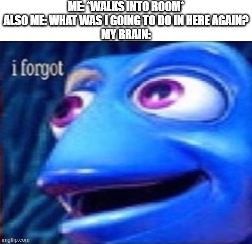 Dory I forgot | ME: *WALKS INTO ROOM*
ALSO ME: WHAT WAS I GOING TO DO IN HERE AGAIN?
MY BRAIN: | image tagged in dory i forgot | made w/ Imgflip meme maker