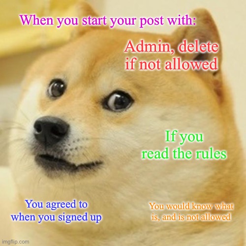 Delete if not allowed | When you start your post with:; Admin, delete if not allowed; If you read the rules; You agreed to when you signed up; You would know what is, and is not allowed | image tagged in memes,doge | made w/ Imgflip meme maker