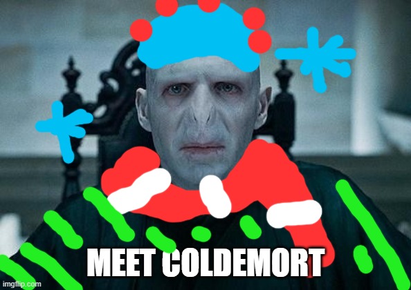 HIYA GUYS, say hello to COLDEMORT | MEET COLDEMORT | image tagged in lord voldemort | made w/ Imgflip meme maker