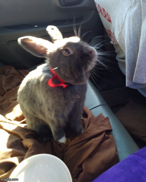 Awwww | made w/ Imgflip meme maker