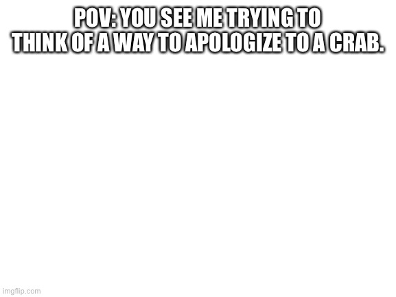 Ayo im sorry. Please forgive me. | POV: YOU SEE ME TRYING TO THINK OF A WAY TO APOLOGIZE TO A CRAB. | image tagged in blank white template | made w/ Imgflip meme maker