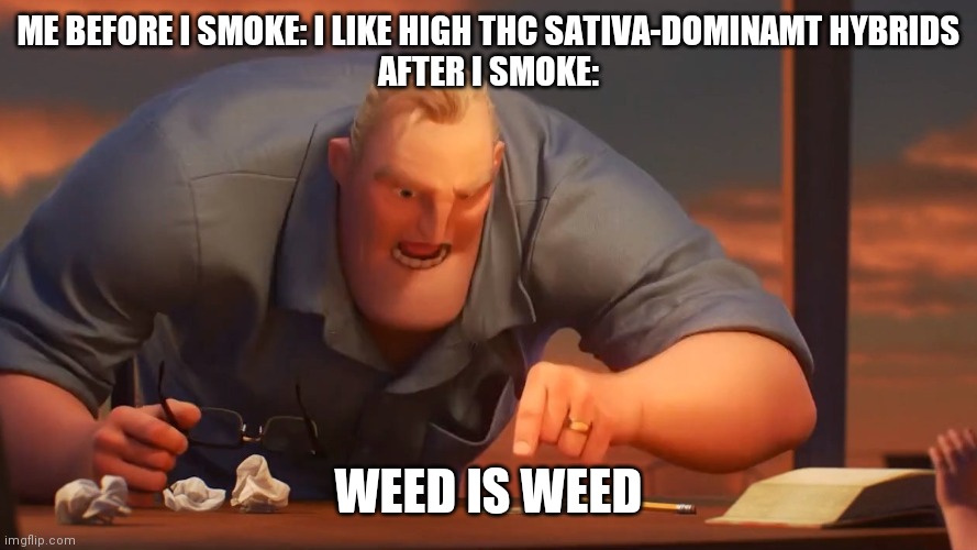 Blank is Blank | ME BEFORE I SMOKE: I LIKE HIGH THC SATIVA-DOMINAMT HYBRIDS
AFTER I SMOKE:; WEED IS WEED | image tagged in blank is blank | made w/ Imgflip meme maker