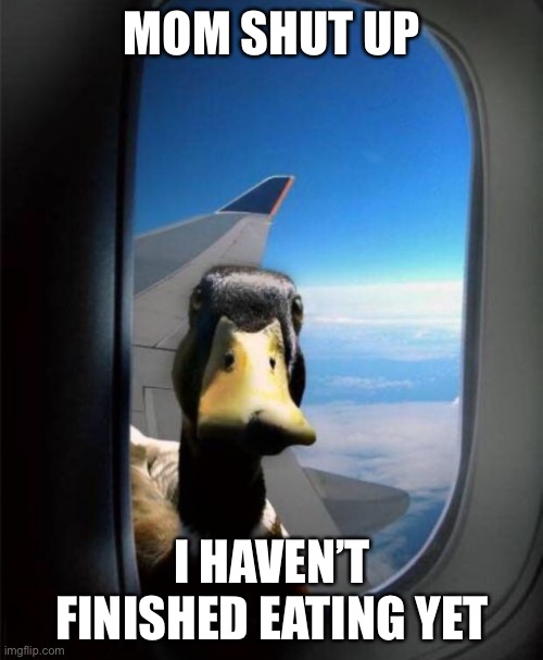 Duck on plane wing | MOM SHUT UP I HAVEN’T FINISHED EATING YET | image tagged in duck on plane wing | made w/ Imgflip meme maker