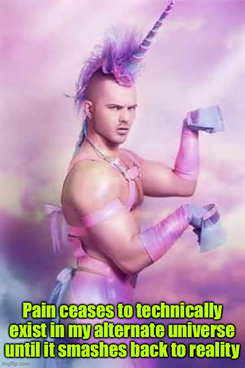 Gay Unicorn | Pain ceases to technically exist in my alternate universe until it smashes back to reality | image tagged in gay unicorn | made w/ Imgflip meme maker