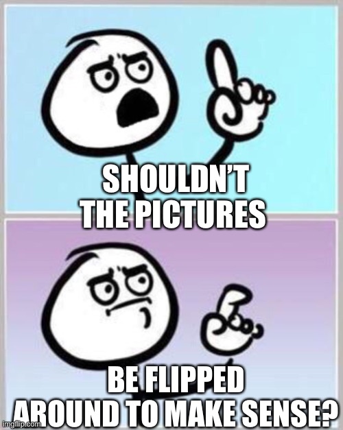 Wait what? | SHOULDN’T THE PICTURES BE FLIPPED AROUND TO MAKE SENSE? | image tagged in wait what | made w/ Imgflip meme maker