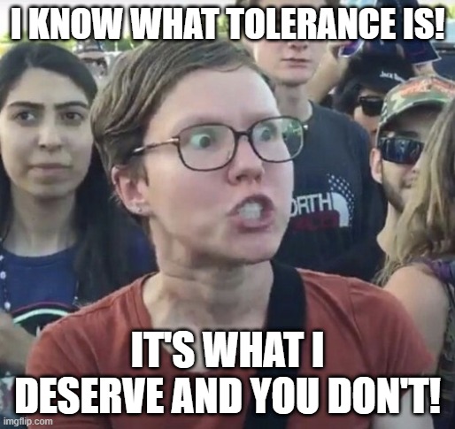 they're all about tolerance | I KNOW WHAT TOLERANCE IS! IT'S WHAT I DESERVE AND YOU DON'T! | image tagged in triggered feminist,tolerance,lgbt | made w/ Imgflip meme maker