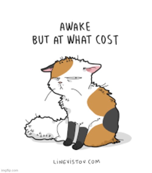 A Cat's Way Of Thinking | image tagged in memes,comics,cats,thinking,awake,why am i doing this | made w/ Imgflip meme maker