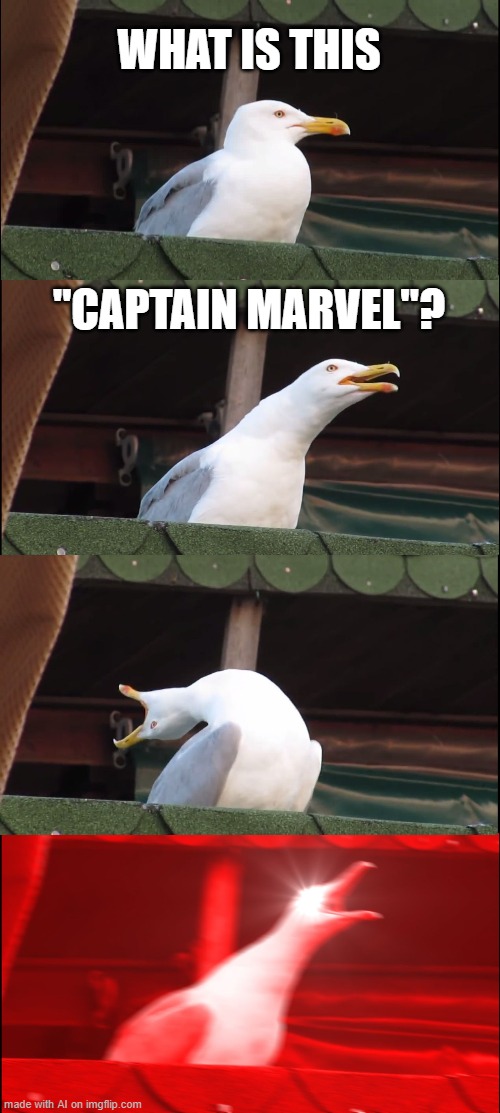 Oh we all know what we think of Captain Marvel... | WHAT IS THIS; "CAPTAIN MARVEL"? | image tagged in memes,inhaling seagull | made w/ Imgflip meme maker