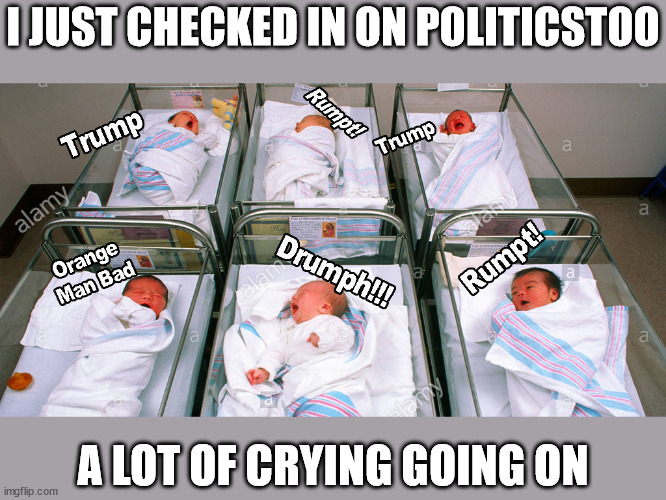 Cry Babies | I JUST CHECKED IN ON POLITICSTOO; A LOT OF CRYING GOING ON | image tagged in politics | made w/ Imgflip meme maker