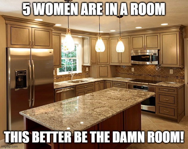 Make Me a Sammich | 5 WOMEN ARE IN A ROOM; THIS BETTER BE THE DAMN ROOM! | image tagged in kitchen | made w/ Imgflip meme maker