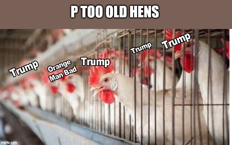 P too | P TOO OLD HENS | image tagged in politics | made w/ Imgflip meme maker