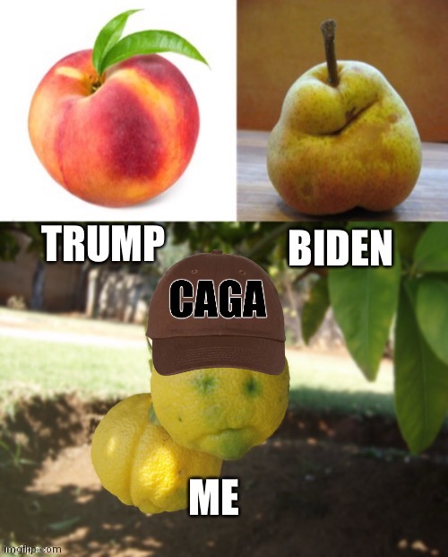 Impeachd Impeard I'mlemon! Biblical Fruits of Ende-eden CAGA ImLEMON | image tagged in bible,holy crap,caga,brown party,donald trump hair,mumblefumble | made w/ Imgflip meme maker