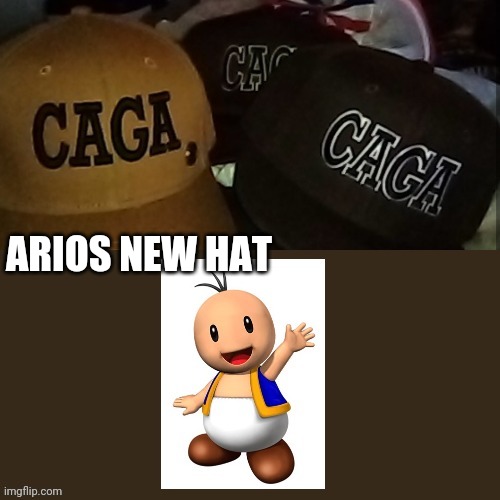 arios new hat | ARIOS NEW HAT | image tagged in mario is missing,toad,caga,super mario odyssey,hats,brown | made w/ Imgflip meme maker