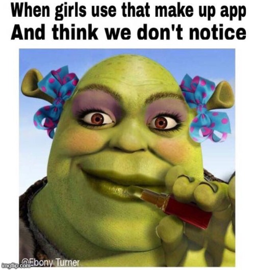 shrek | image tagged in shrek | made w/ Imgflip meme maker