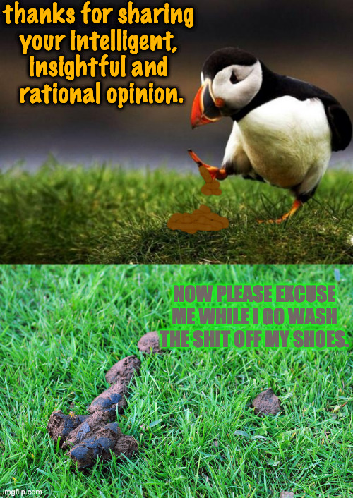 Rank Opinions | thanks for sharing 
your intelligent, 
insightful and 
rational opinion. NOW PLEASE EXCUSE ME WHILE I GO WASH THE SHIT OFF MY SHOES. | image tagged in memes,unpopular opinion puffin,dog poop | made w/ Imgflip meme maker