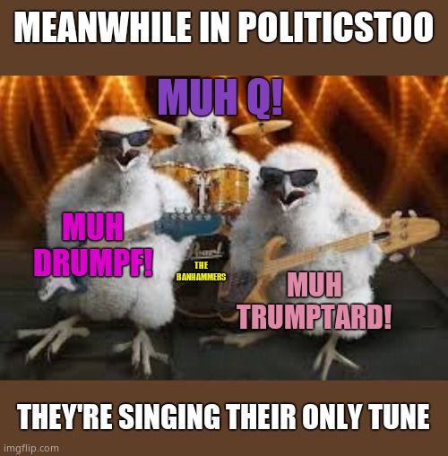 Where the chickens rule the roost. Introducing: The Banhammers! | MEANWHILE IN POLITICSTOO; MUH Q! MUH DRUMPF! THE BANHAMMERS; MUH TRUMPTARD! THEY'RE SINGING THEIR ONLY TUNE | image tagged in chicken musicians | made w/ Imgflip meme maker