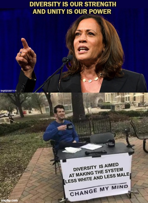 Truth | DIVERSITY  IS AIMED AT MAKING THE SYSTEM 
LESS WHITE AND LESS MALE | image tagged in memes,change my mind,democrats | made w/ Imgflip meme maker