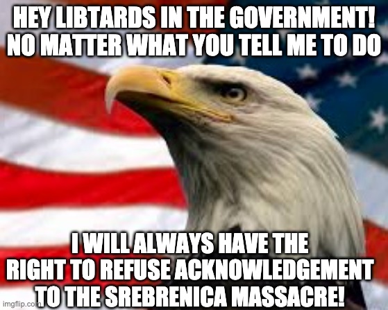 Murica Patriotic Eagle | HEY LIBTARDS IN THE GOVERNMENT! NO MATTER WHAT YOU TELL ME TO DO I WILL ALWAYS HAVE THE RIGHT TO REFUSE ACKNOWLEDGEMENT TO THE SREBRENICA MA | image tagged in murica patriotic eagle | made w/ Imgflip meme maker