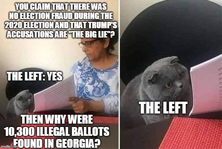 Teacher Cat HD | YOU CLAIM THAT THERE WAS NO ELECTION FRAUD DURING THE 2020 ELECTION AND THAT TRUMP'S ACCUSATIONS ARE "THE BIG LIE"? THE LEFT: YES; THE LEFT; THEN WHY WERE 10,300 ILLEGAL BALLOTS FOUND IN GEORGIA? | image tagged in teacher cat hd | made w/ Imgflip meme maker