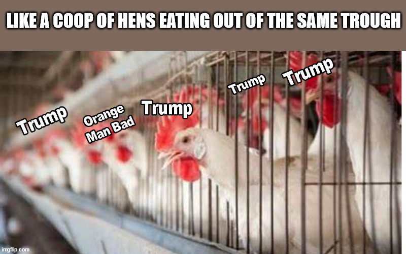 LIKE A COOP OF HENS EATING OUT OF THE SAME TROUGH | made w/ Imgflip meme maker