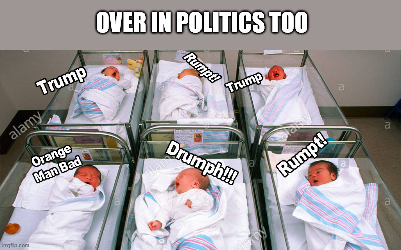 Poli too | OVER IN POLITICS TOO | image tagged in politics,stupid liberals | made w/ Imgflip meme maker