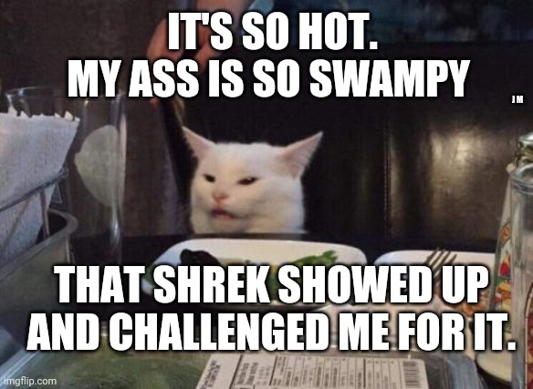 Salad cat | IT'S SO HOT. MY ASS IS SO SWAMPY; J M; THAT SHREK SHOWED UP AND CHALLENGED ME FOR IT. | image tagged in salad cat | made w/ Imgflip meme maker