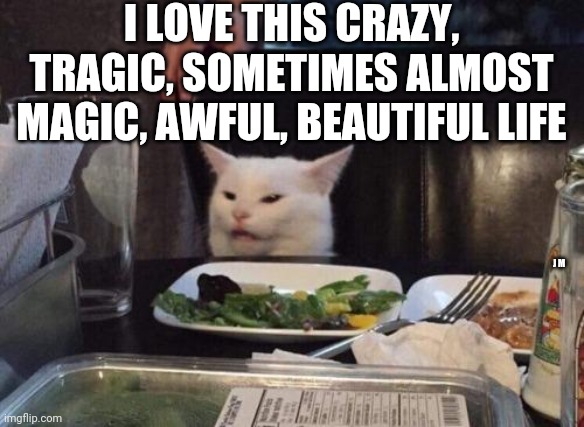 Salad cat | I LOVE THIS CRAZY, TRAGIC, SOMETIMES ALMOST MAGIC, AWFUL, BEAUTIFUL LIFE; J M | image tagged in salad cat | made w/ Imgflip meme maker