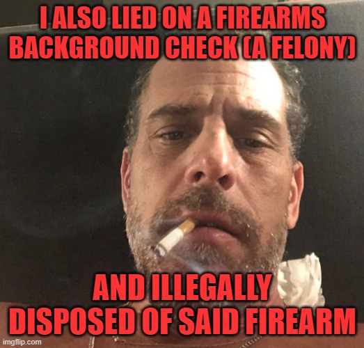 Hunter Biden | I ALSO LIED ON A FIREARMS BACKGROUND CHECK (A FELONY) AND ILLEGALLY DISPOSED OF SAID FIREARM | image tagged in hunter biden | made w/ Imgflip meme maker