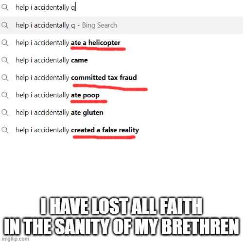 EXCUSE ME WHAT | I HAVE LOST ALL FAITH IN THE SANITY OF MY BRETHREN | image tagged in google search,help i accidentally,helicopter,alternate reality | made w/ Imgflip meme maker