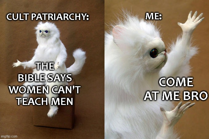 14th Century Rat |  ME:; CULT PATRIARCHY:; THE BIBLE SAYS WOMEN CAN'T TEACH MEN; COME AT ME BRO | image tagged in memes,persian cat room guardian,preacher,women,men vs women | made w/ Imgflip meme maker