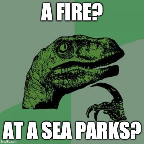 Philosoraptor Meme | A FIRE? AT A SEA PARKS? | image tagged in memes,philosoraptor,it crowd,sea parks,fire | made w/ Imgflip meme maker