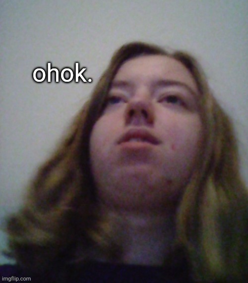 Ohok | image tagged in ohok | made w/ Imgflip meme maker
