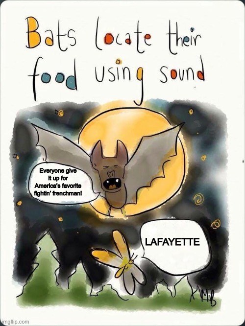 I’M TAKIN’ THIS HORSE BY THE REINS MAKIN’ REDCOATS REDDER WITH BLOODSTAINS | Everyone give it up for America’s favorite fightin’ frenchman! LAFAYETTE | image tagged in bats locate their food using sound,hamilton | made w/ Imgflip meme maker