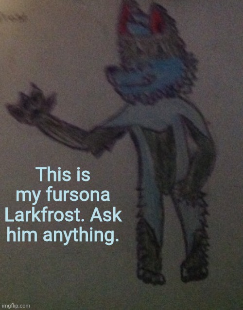 This is my fursona Larkfrost. Ask him anything. | image tagged in fursona | made w/ Imgflip meme maker