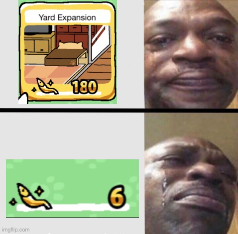 I really want to buy yard expansion ;-; (More Yard = More Cats = More Cuteness) | image tagged in crying black dude weed | made w/ Imgflip meme maker