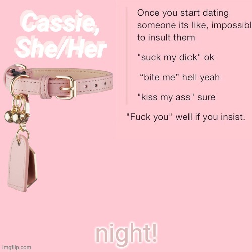 night! | image tagged in cassie | made w/ Imgflip meme maker