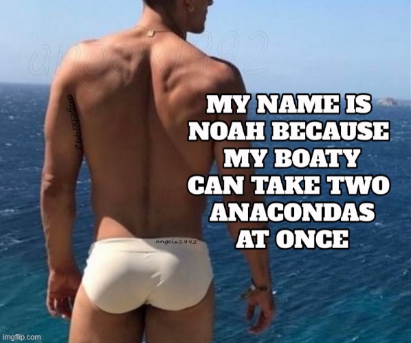 image tagged in noah,lgbtq,dp,anaconda,noah's ark,boaty | made w/ Imgflip meme maker