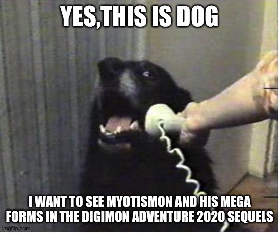 Yes this is dog | YES,THIS IS DOG; I WANT TO SEE MYOTISMON AND HIS MEGA FORMS IN THE DIGIMON ADVENTURE 2020 SEQUELS | image tagged in yes this is dog | made w/ Imgflip meme maker